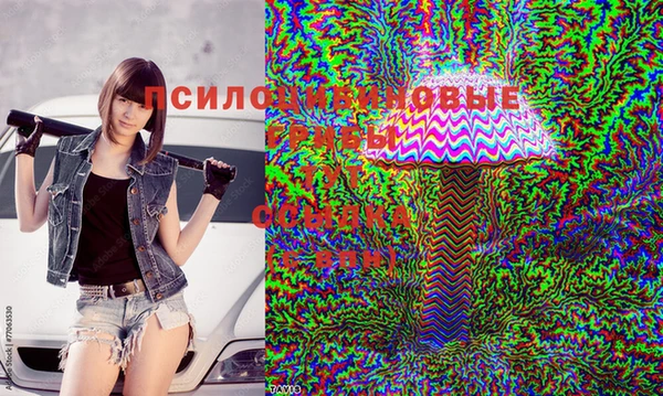 гашик Алзамай